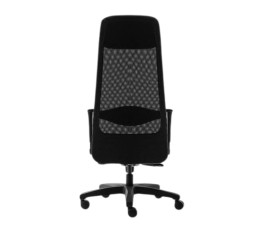 Scaun ergonomic 30.12.101